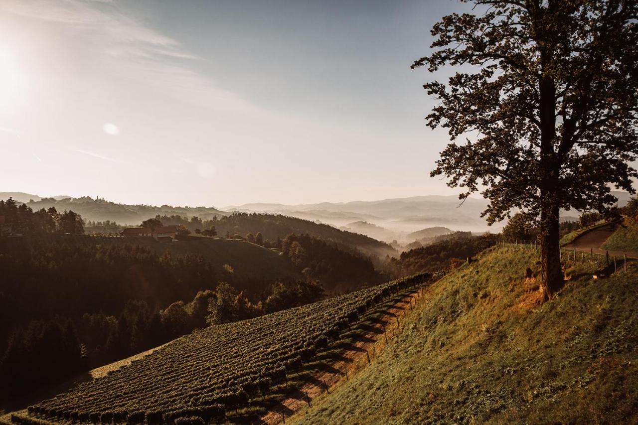 Weingut Kollerhof Am Eichberg Villa ลอยช์ชาค ภายนอก รูปภาพ