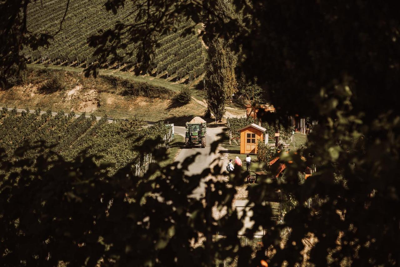 Weingut Kollerhof Am Eichberg Villa ลอยช์ชาค ภายนอก รูปภาพ